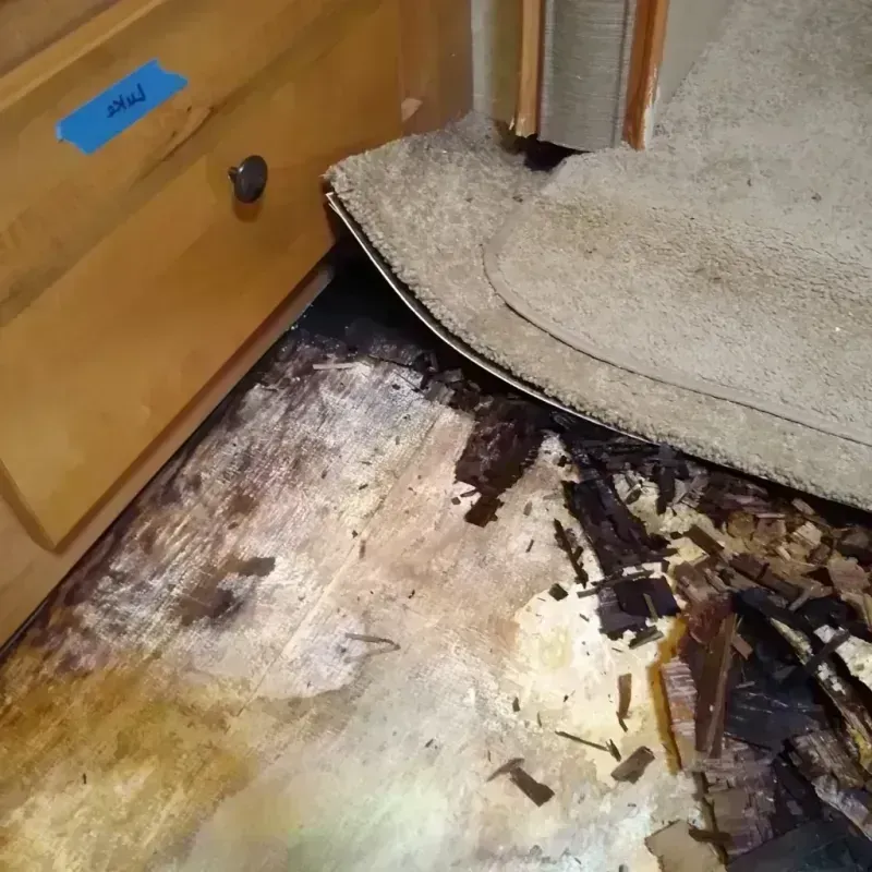 Best Wood Floor Water Damage Service in Brewster, NY